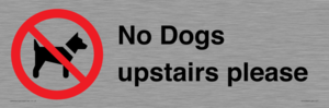 No Dogs upstairs please 